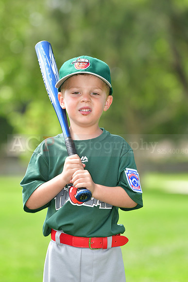 TBTincaps055