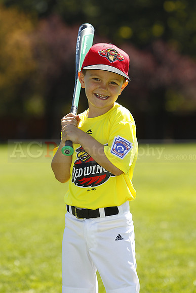 FMRedwings004