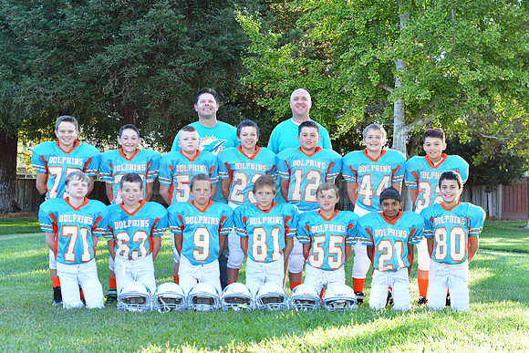 Dolphins121