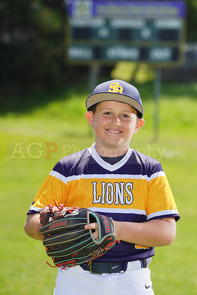 SB_PW_Lions001