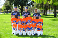 A METS