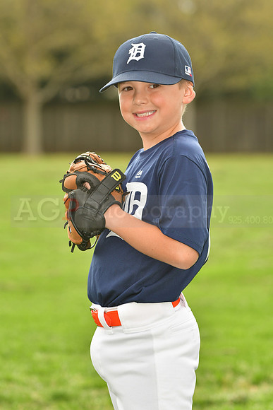 AATigers031