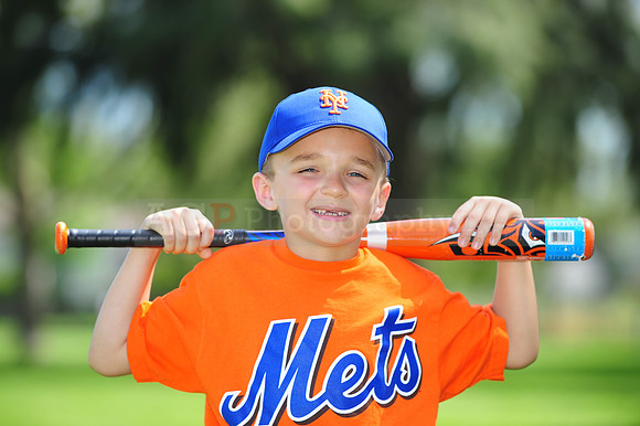 Farm_Mets073