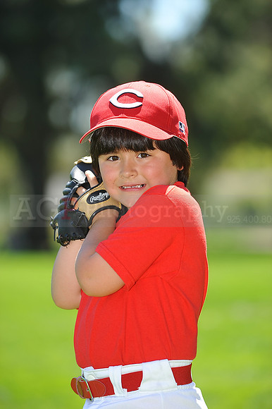 T-Ball_Reds028