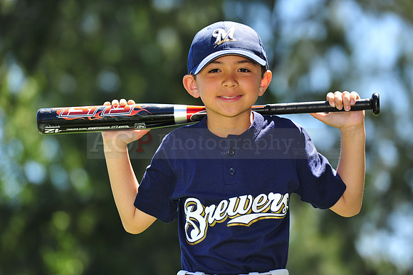 AA Brewers062