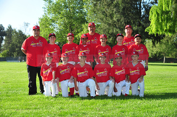 MajorCardinals079
