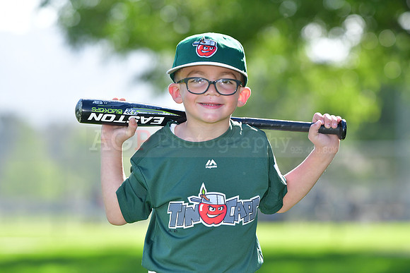TBTincaps205