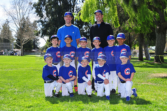 FMCubs045