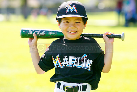 TBMarlins056
