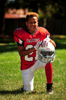 Falcons011
