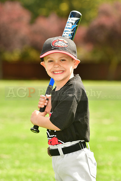 FMMudcats031