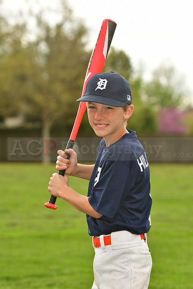 AATigers071
