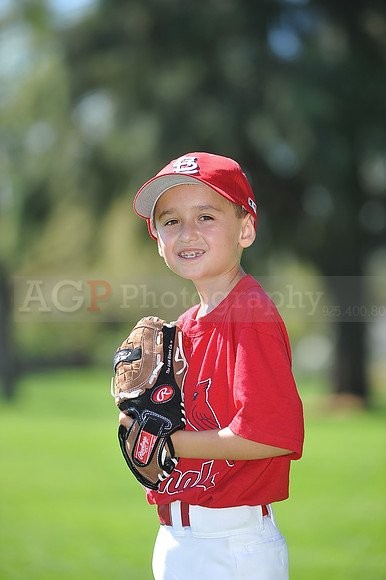 AA_Cardinals082