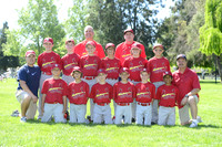 AAA CARDINALS