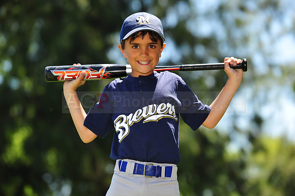 AA Brewers053
