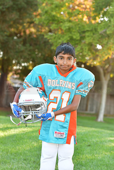 Dolphins111