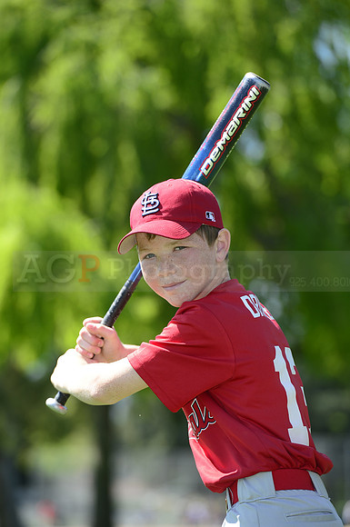 AAA Cards074