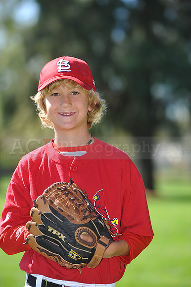AA_Cardinals010
