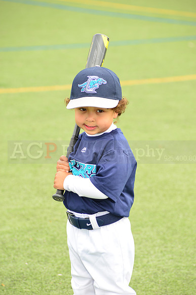 SB_TB_Raptors00188