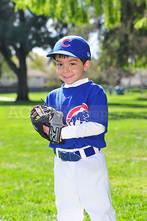 FMCubs025