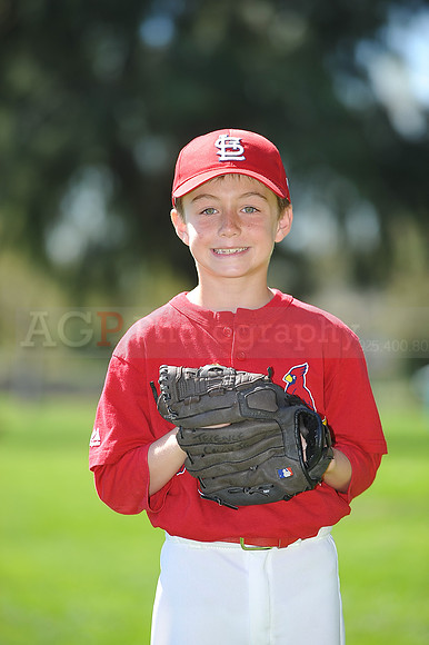 A_Cardinals043