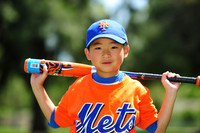 Farm_Mets016