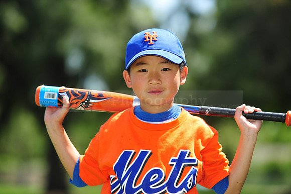 Farm_Mets016