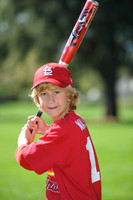 AA_Cardinals014