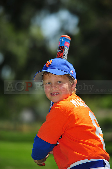 Farm_Mets054