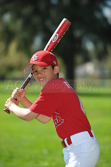 AA_Cardinals059
