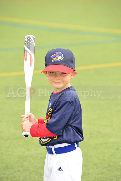 SB_TB_mudhens00065