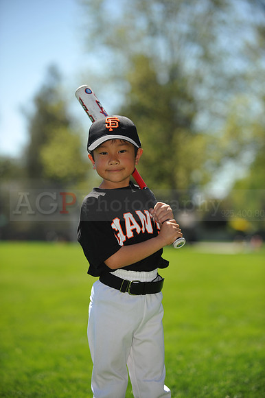 T-Ball Giants041