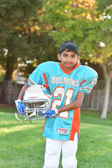 Dolphins110