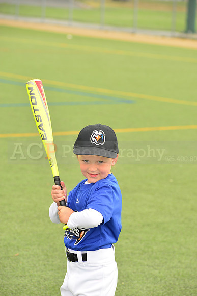 SB_TB_Ironbirds00075