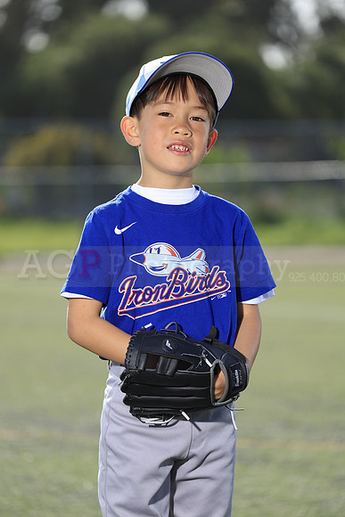 SB_TB_IronBirds026