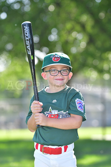 TBTincaps210
