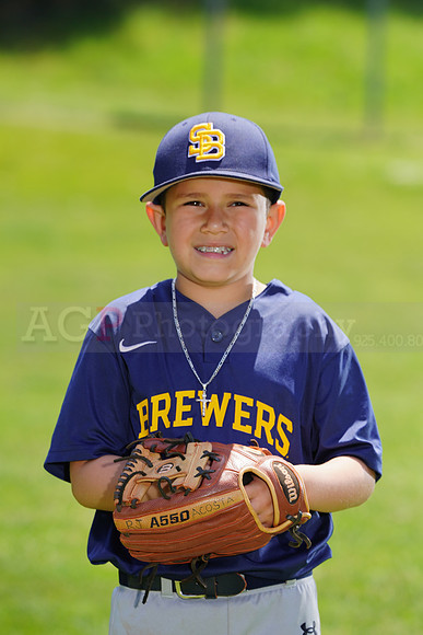 SB_PW_Brewers080