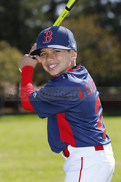 AAARedSox003
