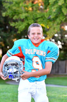 Dolphins016