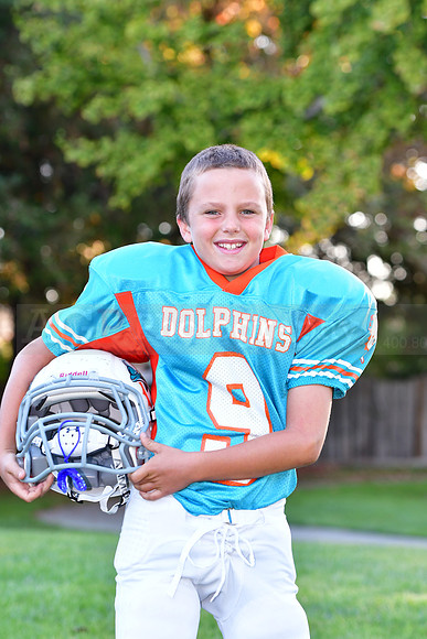 Dolphins016