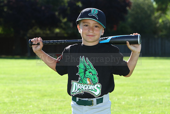 FMDragons029