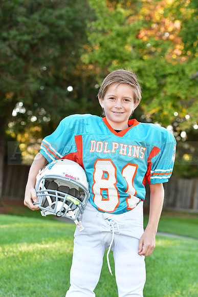 Dolphins046