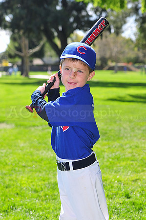 FMCubs034