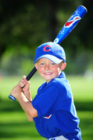 Farm_Cubs013