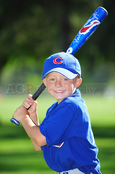 Farm_Cubs013