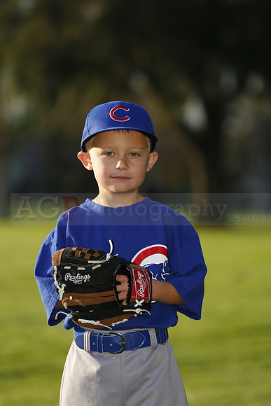 FarmCubs042