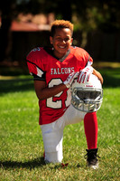 Falcons010