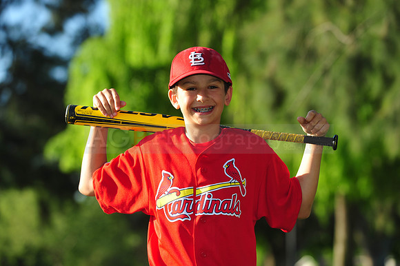MajorCardinals029