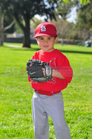 TBCardinals017