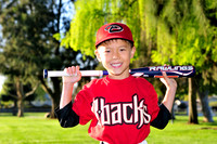 FMDBacks015